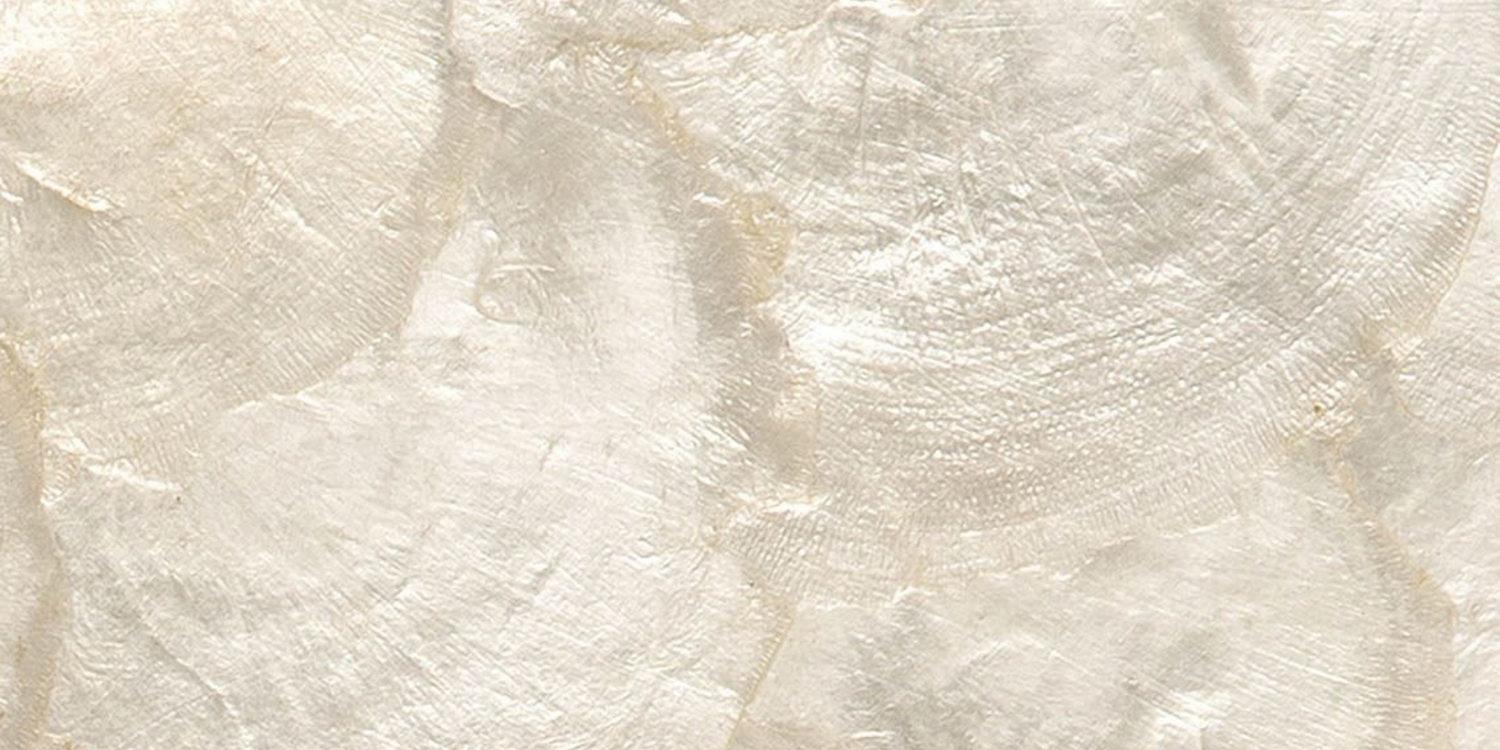 Capiz Shell Decor: What It Is and What Makes It Ideal for Home Decor